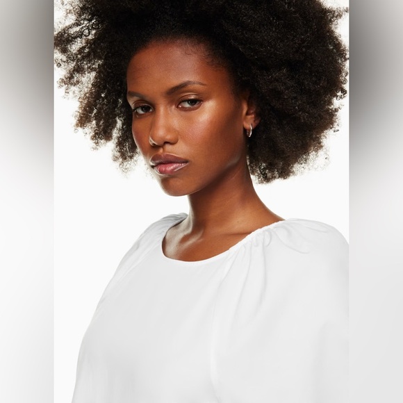 Aritzia Babaton Ambience Poplin Dress - Picture 4 of 8